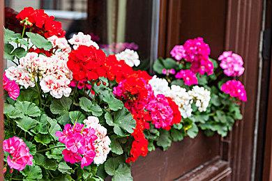 《小骨：英雄杀手》免费更新! 推出全新的可玩角色“支配者”